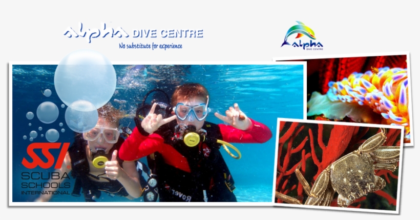 Special Of The Month - Buoyancy Compensator, transparent png #8723724