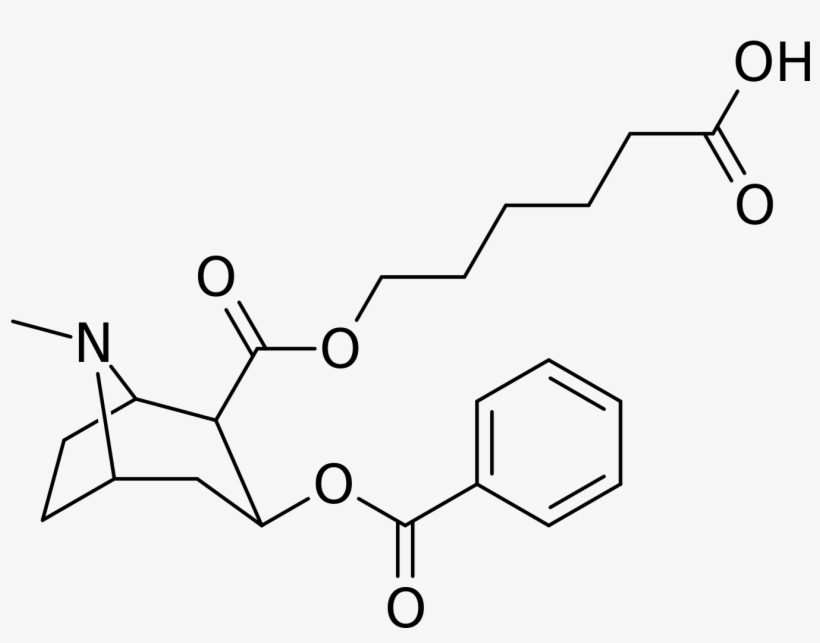 Cocaine Analog Gnc - Transparent Line Of Cocaine, transparent png #8723958