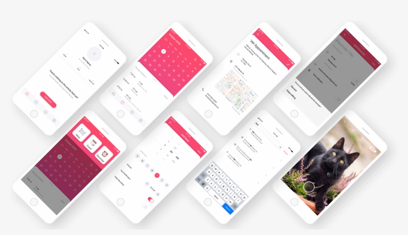 Background - Black Cat, transparent png #8725383