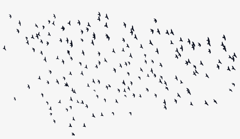 Big Image - Birds Silhouette Png, transparent png #8726727
