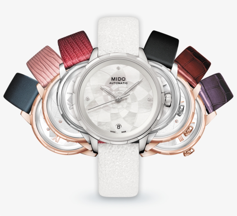 Mini-website Where They Can Choose Among Various Case - Mido Rainflower, transparent png #8726961