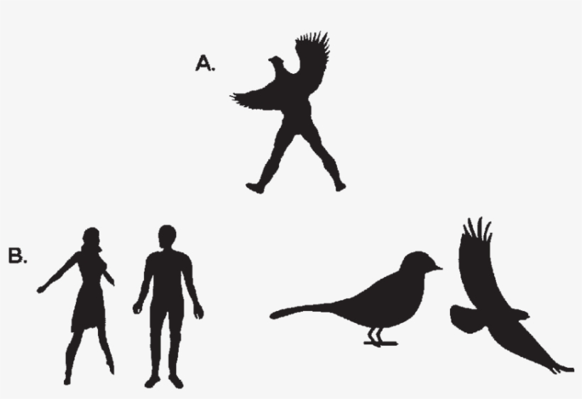 An Example Of A Visual Hybrid (half Human Half Bird - Half Human Half Bird, transparent png #8727072