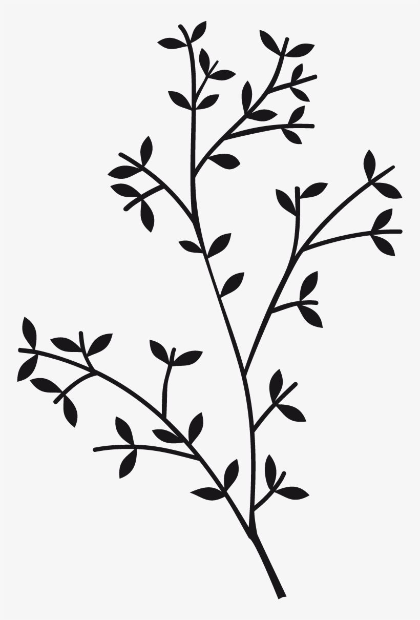Vinilo Decorativo Rama3 - Twig, transparent png #8727117