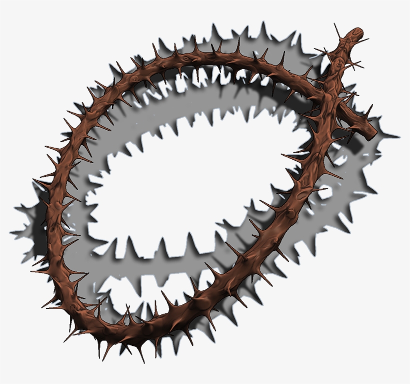 A - Cartilaginous Fish, transparent png #8727238