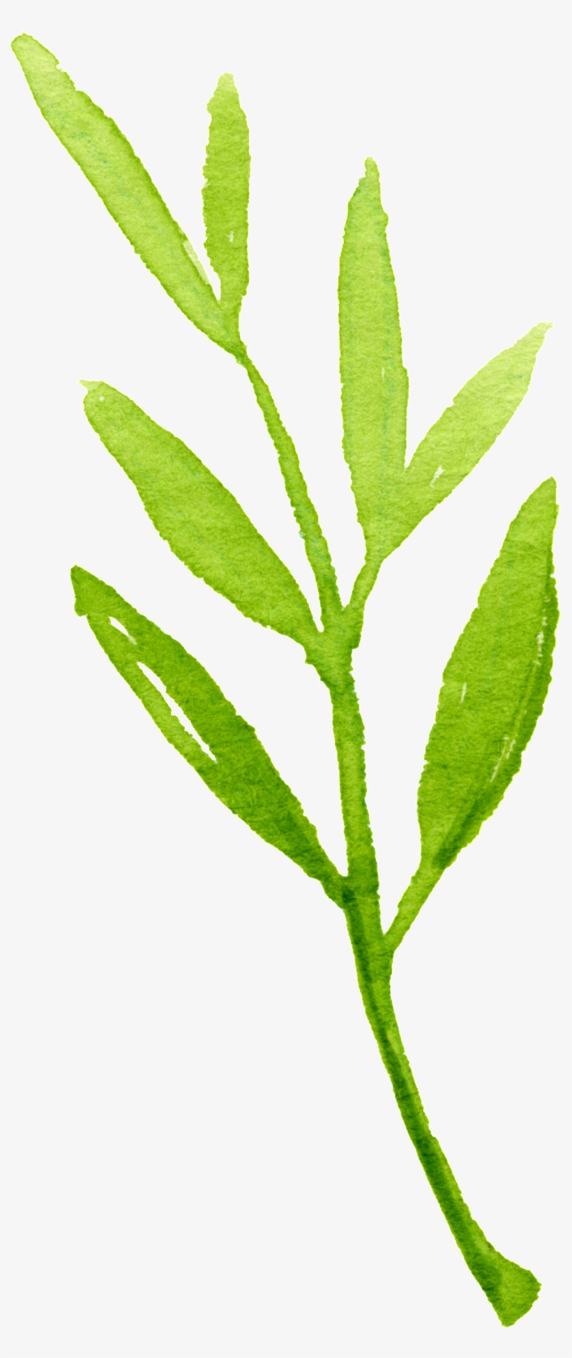 Crystal Foliage Cartoon Transparent - Twig, transparent png #8727249