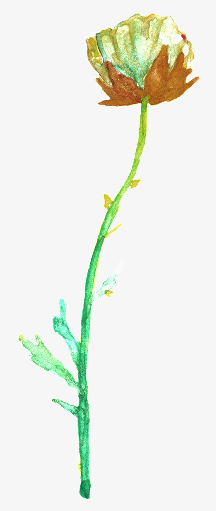 Transparente Png Ornamental Para Verde Y Verde Ramas - Buttercup, transparent png #8727365