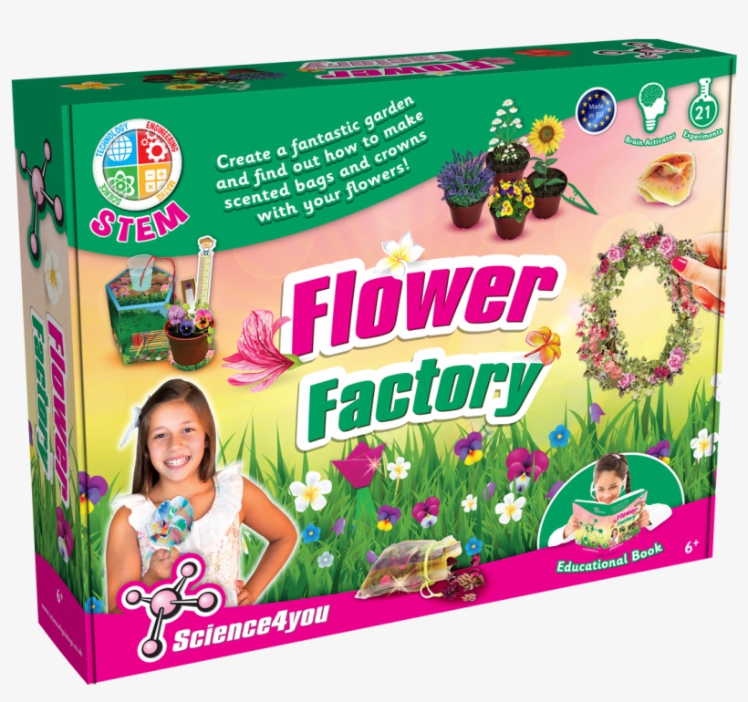 8cm X 29cm X 8cm - Floral Design, transparent png #8727550