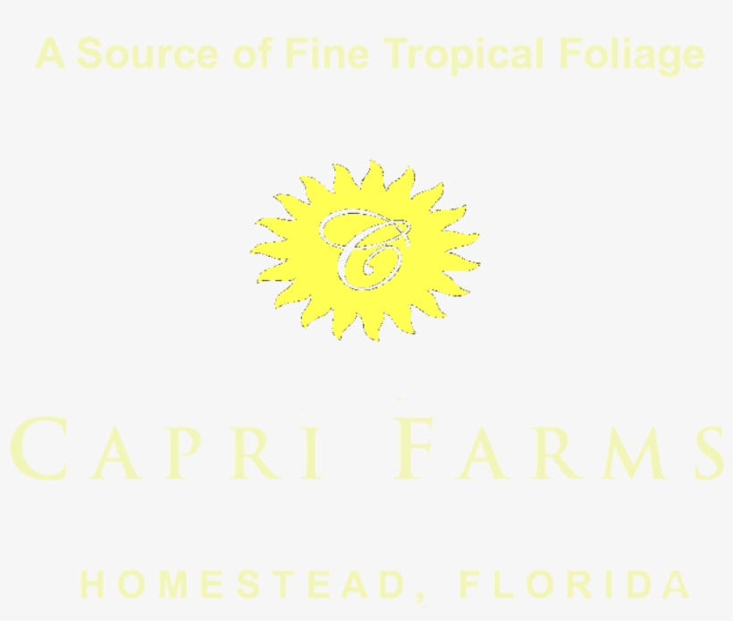 Cropped Header Final 2 Margins Fotoflexer Photo E1382986851686 - Circle, transparent png #8727692