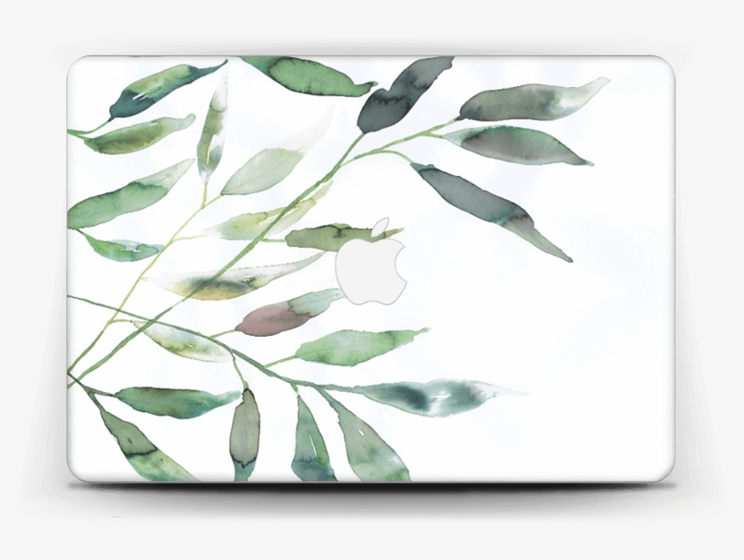 Ramas De Olivo - Display Device, transparent png #8727790