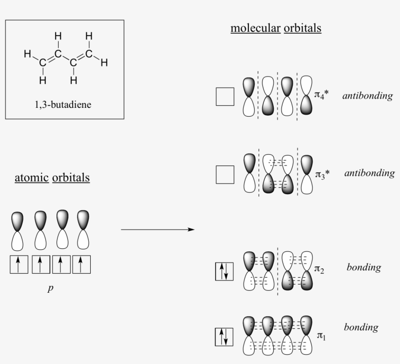 The Lowest Energy Molecular Orbital, Pi1, Has Only - 1 3 Butadiene Molecular Orbitals, transparent png #8728303