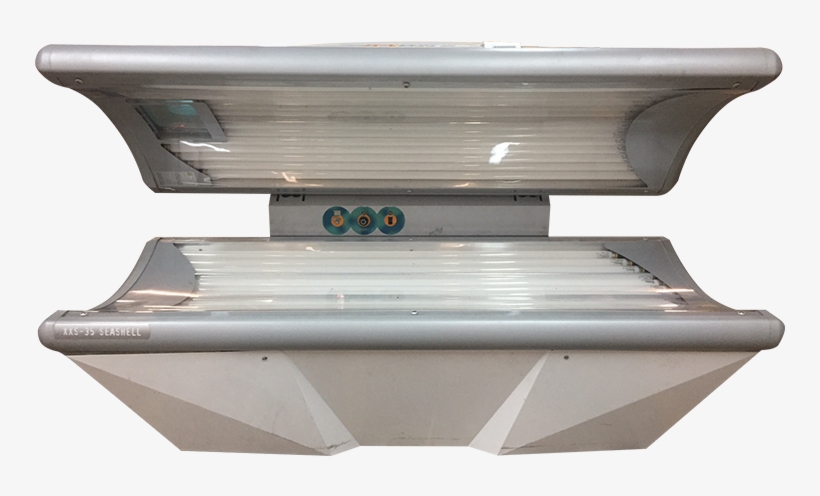 Soltron Seashell - Shelf, transparent png #8728470