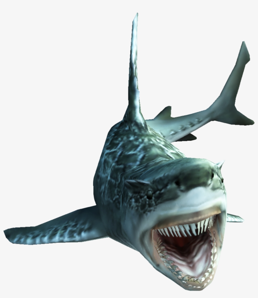 Fishes Png, transparent png #8729213