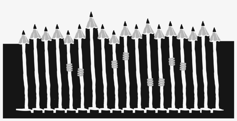 Illustration Of A Line-up Of Pencils With Hands Holding - Picket Fence, transparent png #8729313
