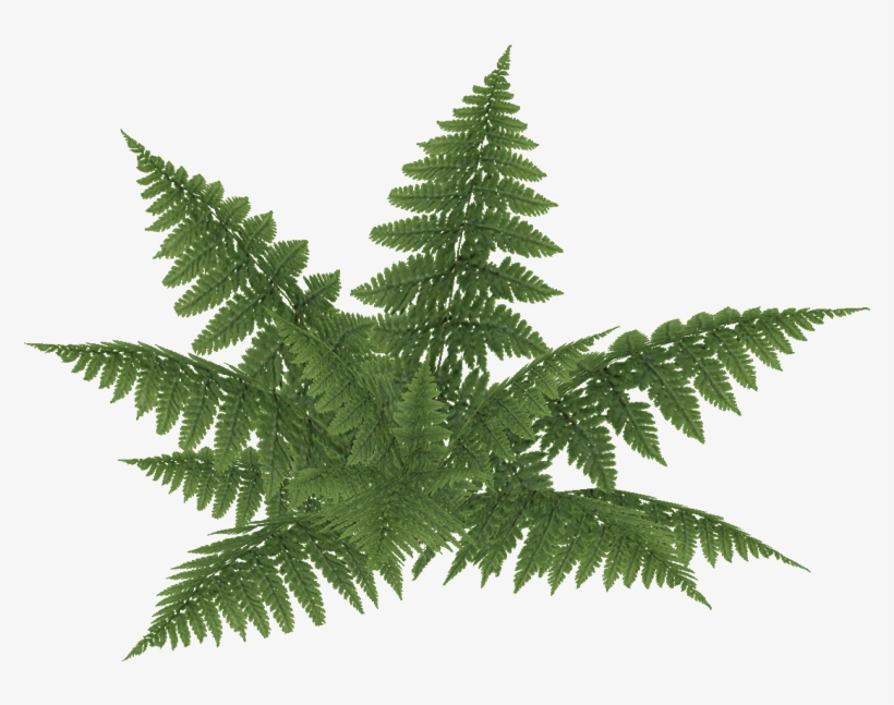 E-2, transparent png #8729402