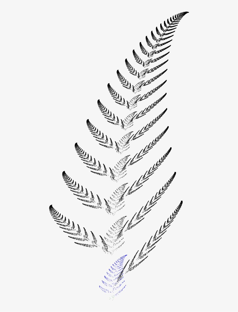 Barnsley Fern Funktion1 - Sketch, transparent png #8729470