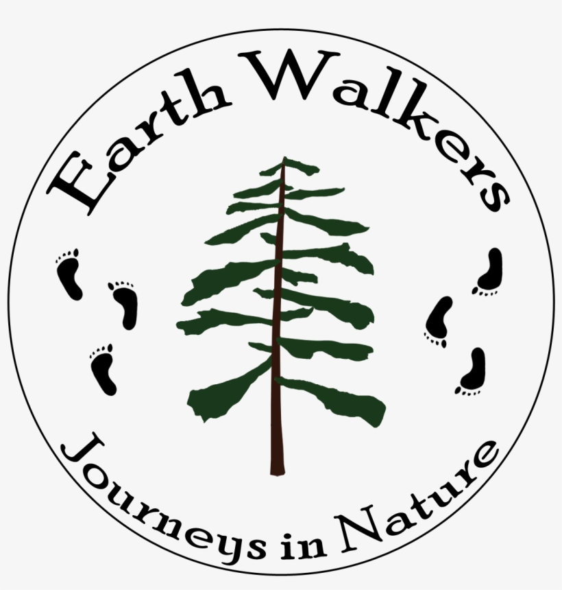 3 E1516384549210 - Design, transparent png #8729705