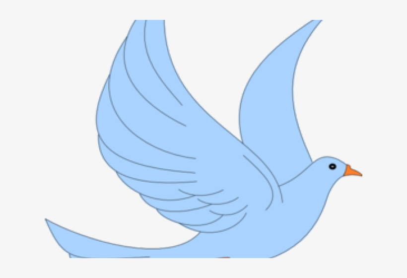 Twitter Clipart Transparent Background - Pigeons And Doves, transparent png #8730323