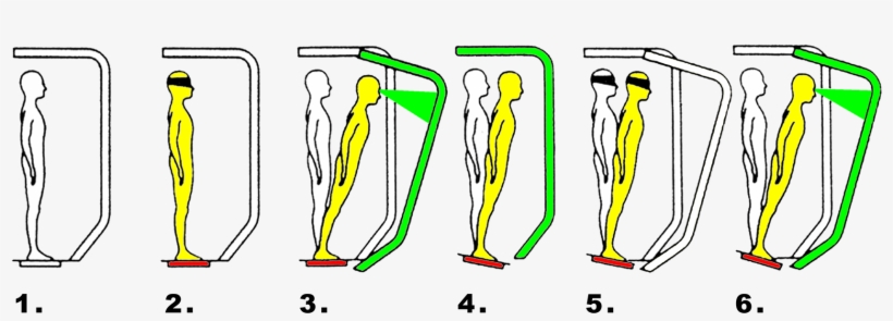 Neuro Balance - Illustration, transparent png #8730400