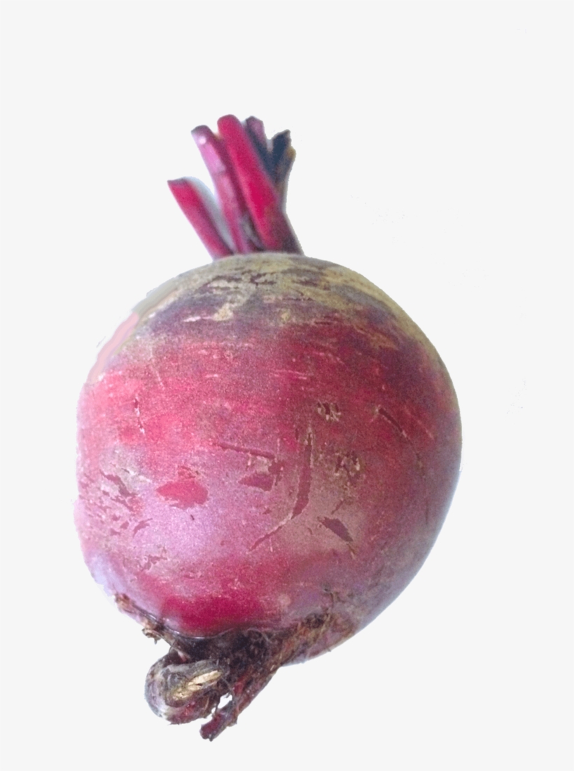Beet - Common Beet, transparent png #8730709