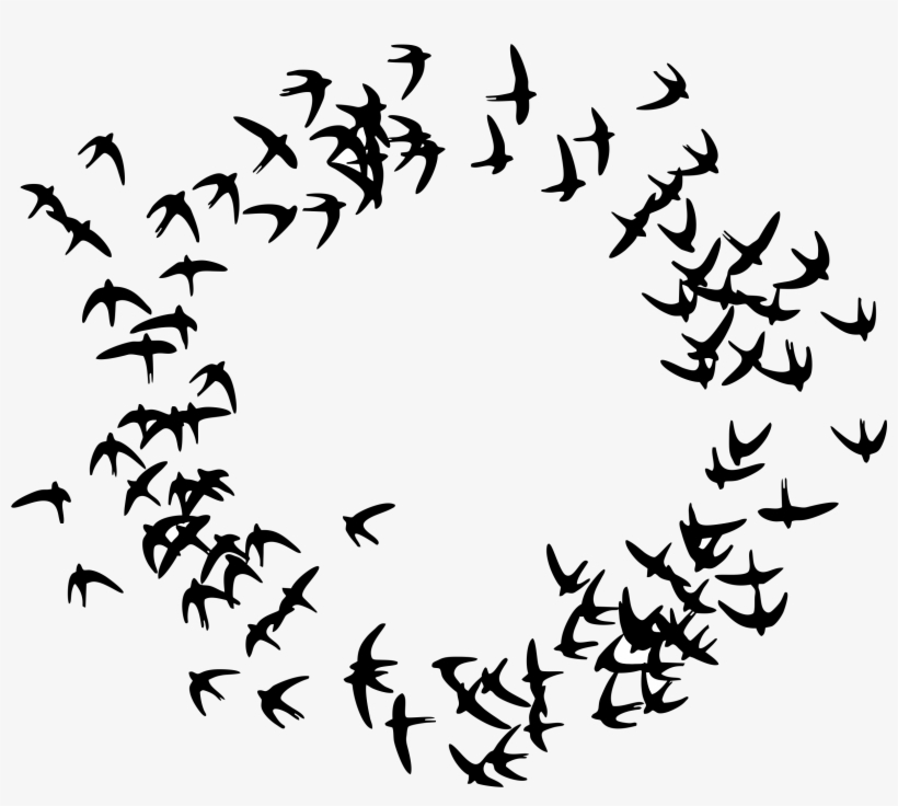 Birds Flying In A Circle - Particle Swarm Optimization Icon, transparent png #8731427