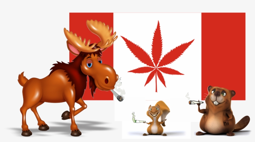 Stickernut And Marijuana Stickers In Canada - Cartoon, transparent png #8732214