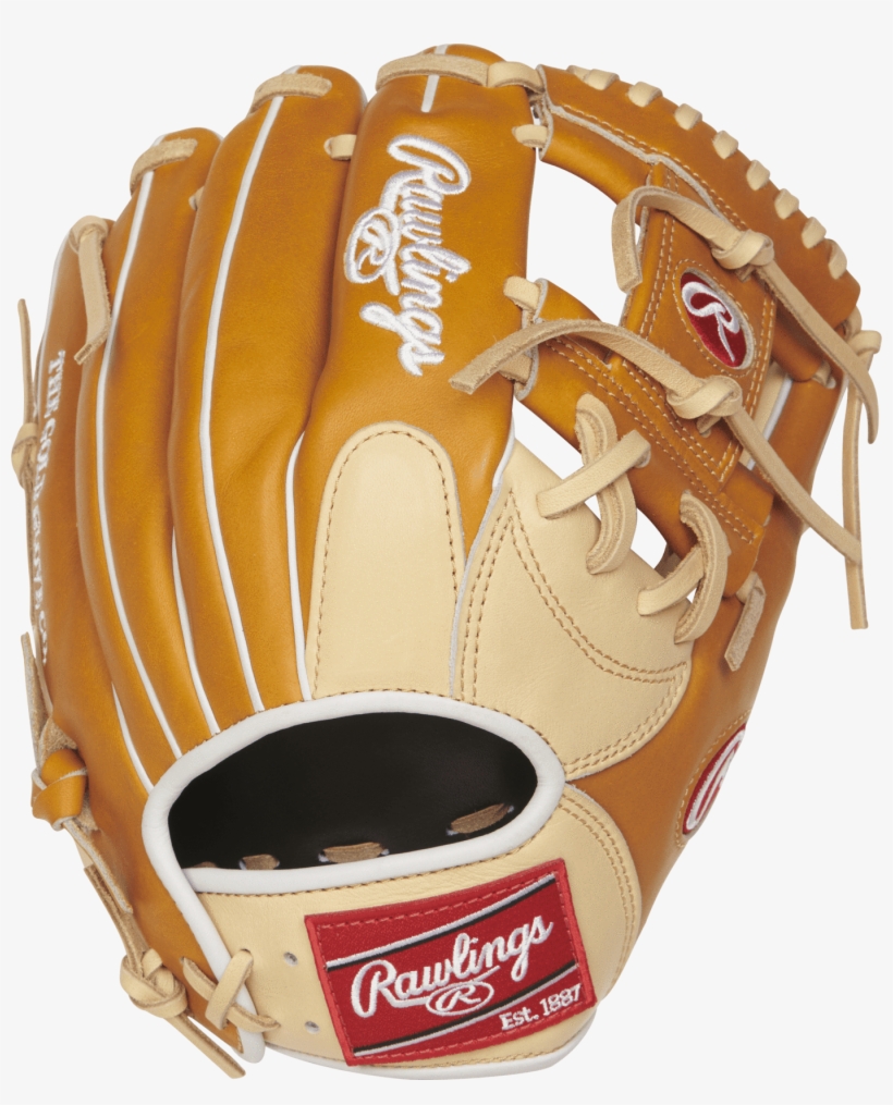 Rawlings Heart Of The Hide, transparent png #8732254
