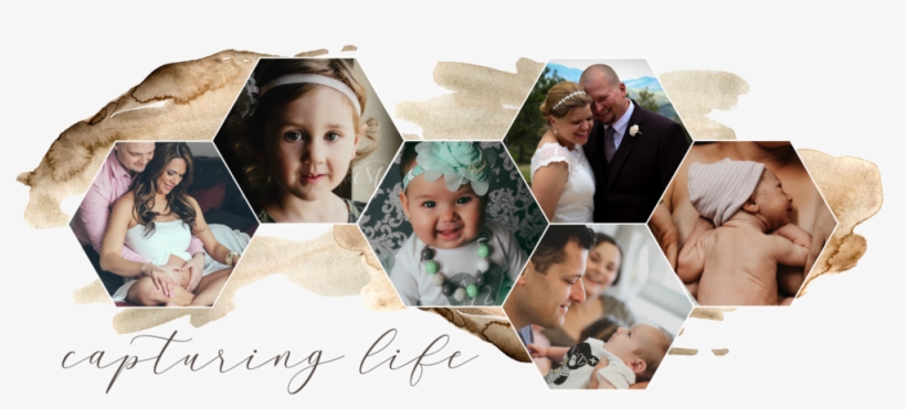 Megan Christine Photography Hexagon Header Denver Photographer - Collage, transparent png #8732610