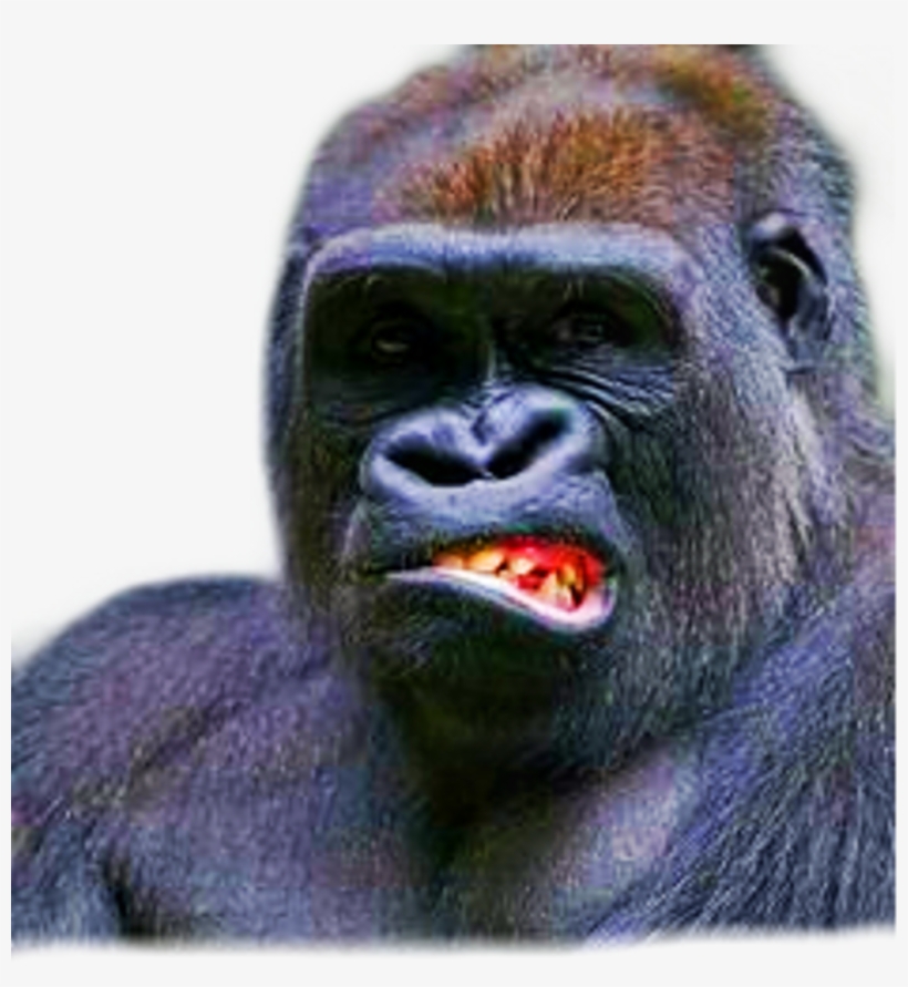 Gorilla Side Face, transparent png #8733302