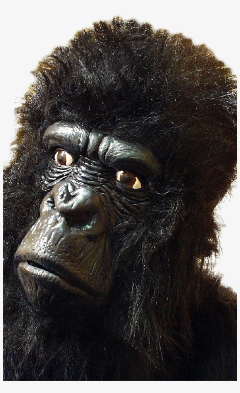 Large Gorilla - Gorilla Mask, transparent png #8733718