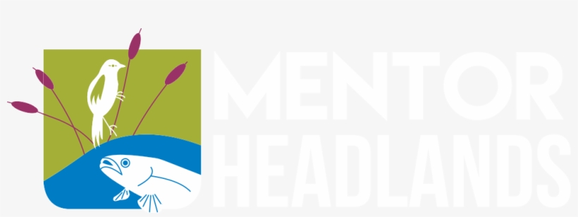 Mentor Headlands Logo White - Durban University Of Technology, transparent png #8733852