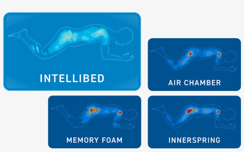 Pressure Mapping Results That Don't Take An Expert - Graphic Design, transparent png #8733890