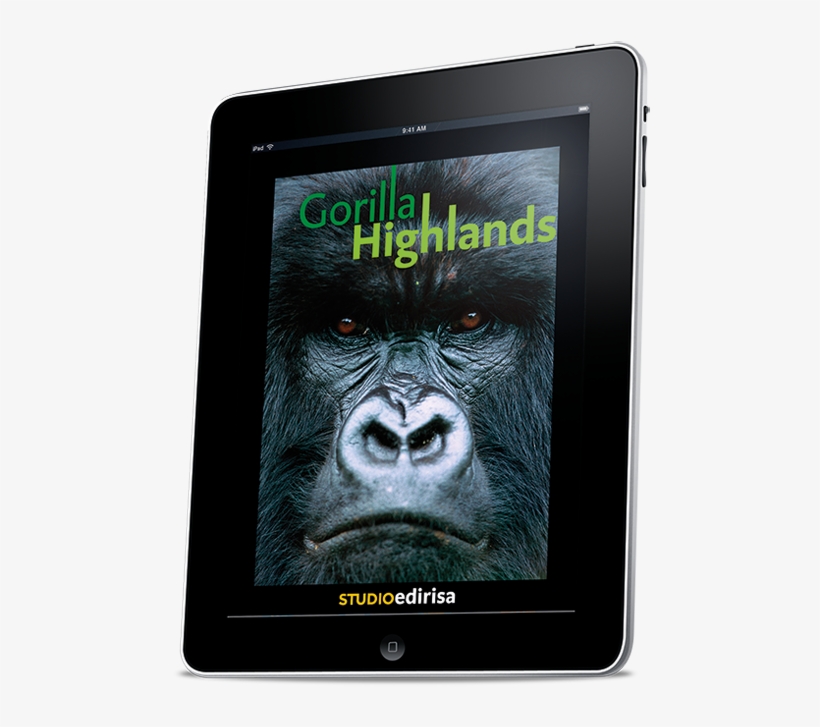 Pin By Gorilla Highlands On Gorilla Highlands - Gorille Des Montagnes En Voie De Disparition, transparent png #8734010