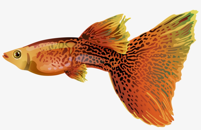 Guppy Png Free Clip Art Image - Guppy Png, transparent png #8735250