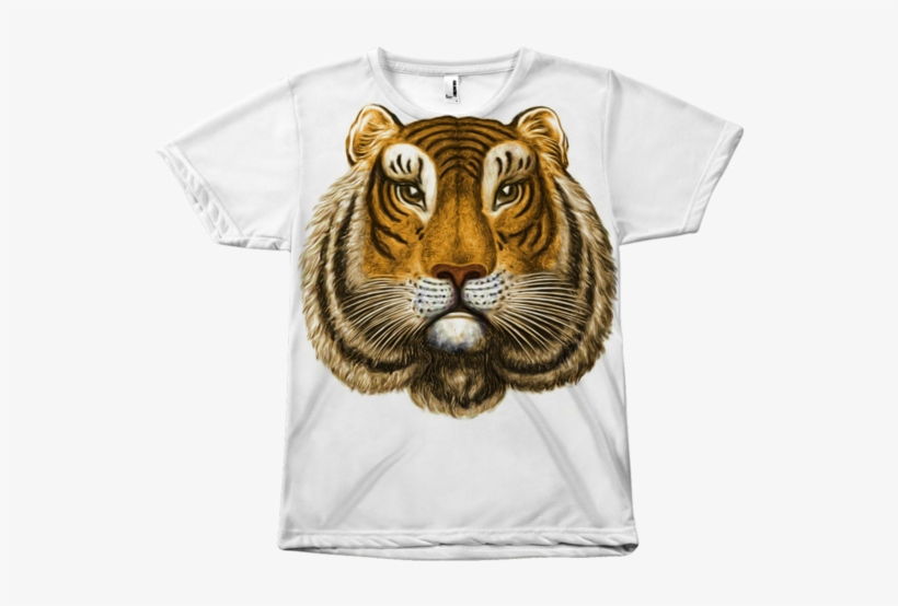 Tiger Face - Siberian Tiger, transparent png #8735419