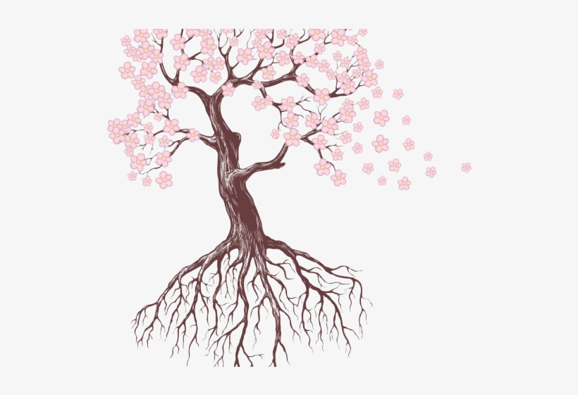 Drawn Roots Sakura Tree - Flowers And Trees Drawings, transparent png #8736302