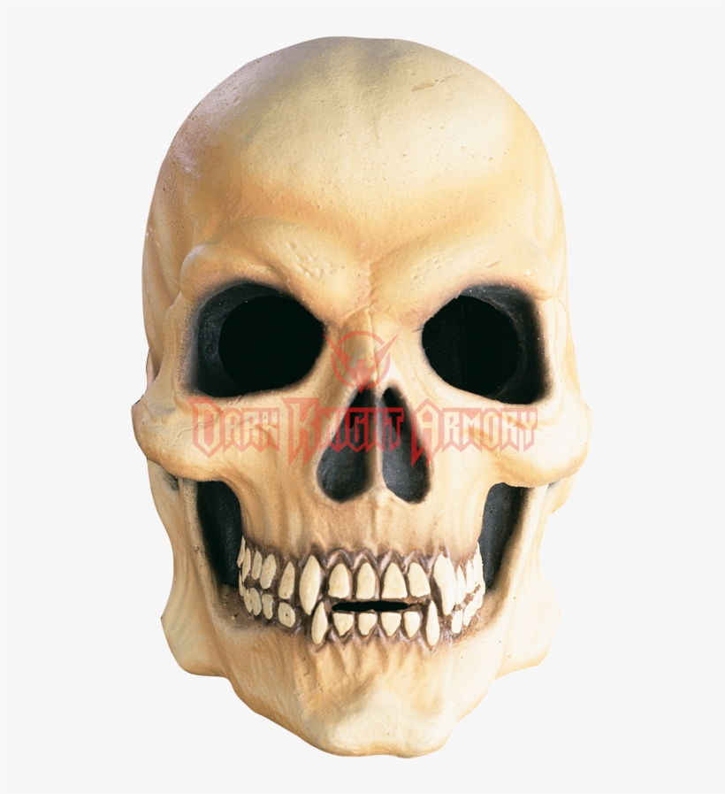 Vampire Skull Png, transparent png #8736384