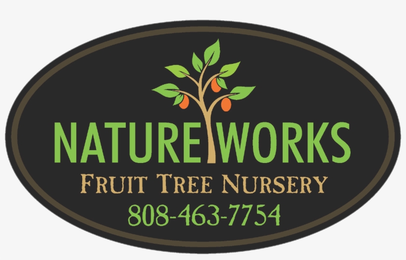 Southern Fried Cotton, transparent png #8737328