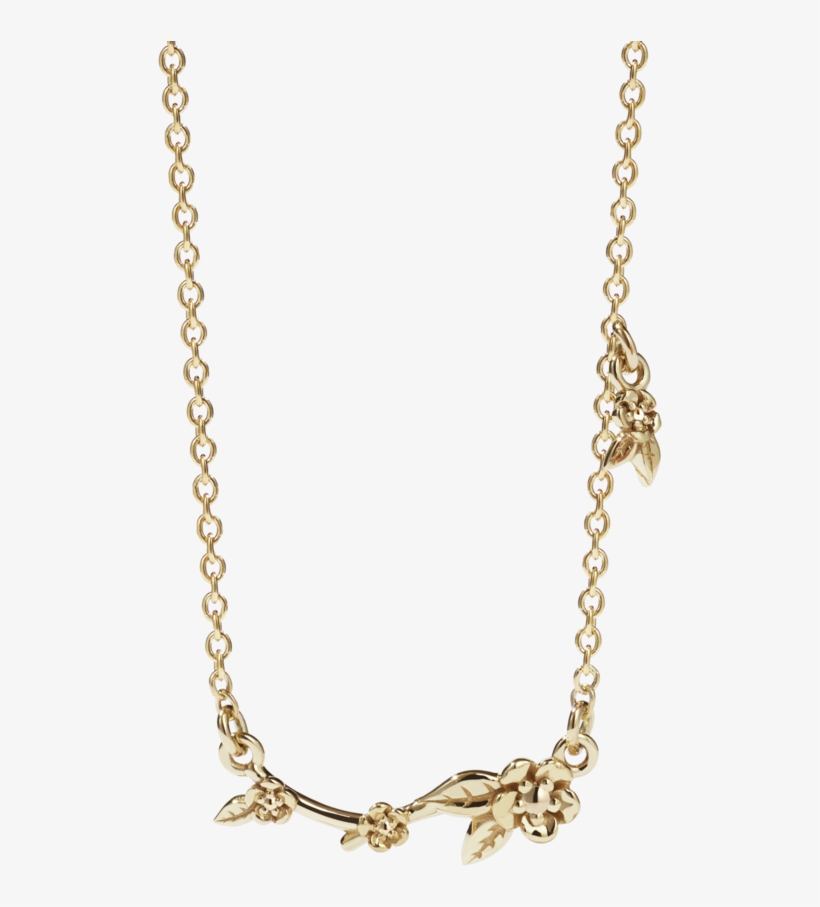 Alba Vine Necklace - Meadowlark Alba Vine Necklace, transparent png #8738684