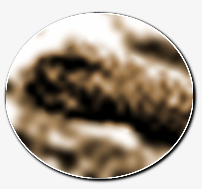 Loch Ness Type Monster On Mars - Circle, transparent png #8738687