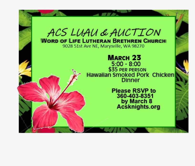 Luau Png, transparent png #8739116