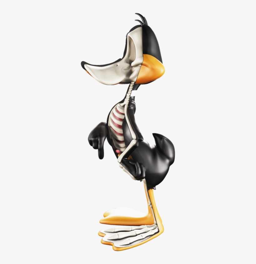 jason freeny xxray looney tunes