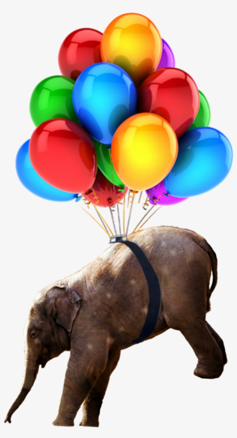Babyelephant Sticker - Youtube Birthday Logo, transparent png #8739618