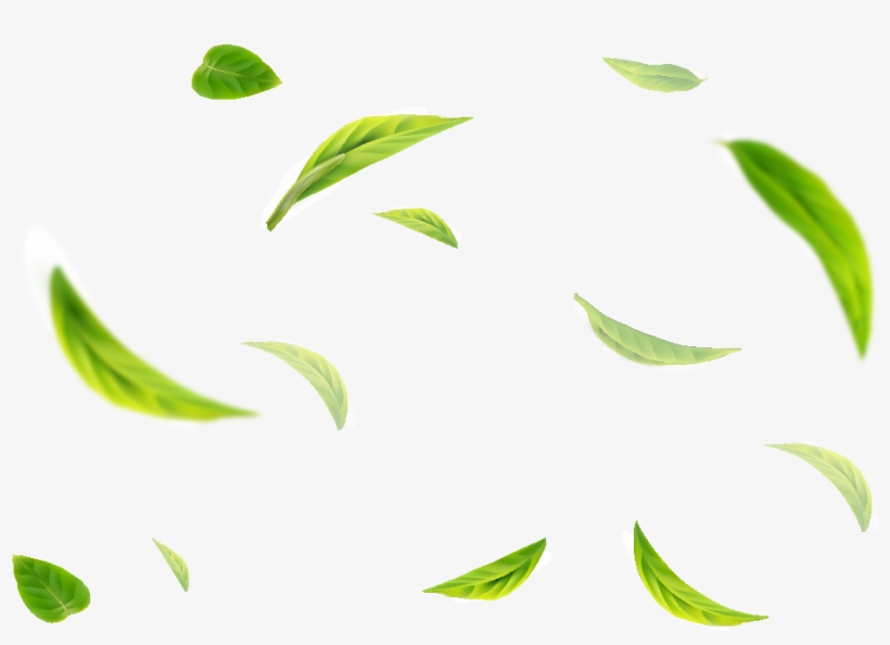 Green Tea Flavour, transparent png #8740586