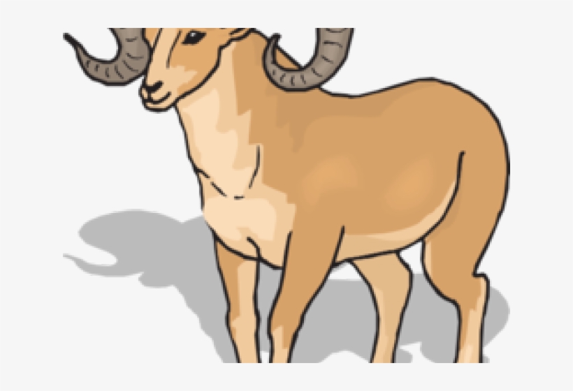Ram Clipart, transparent png #8740703
