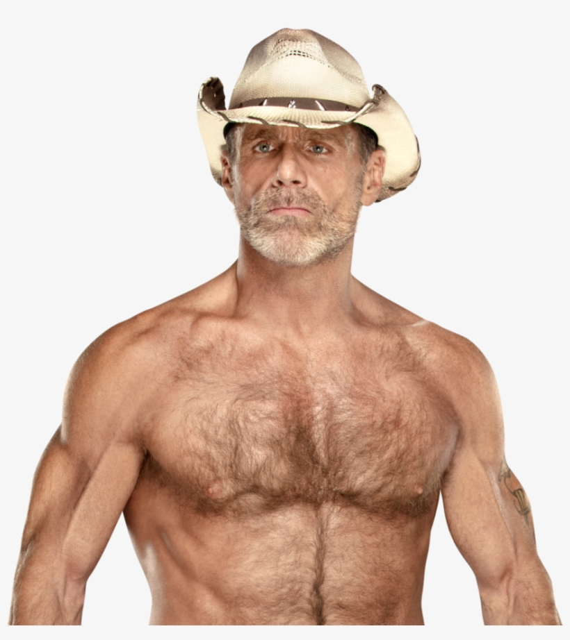 Shawn Michaels Png - Wwe Shawn Michaels Png, transparent png #8740762