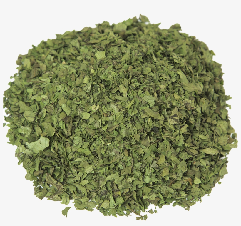 Parsley Family, transparent png #8741360