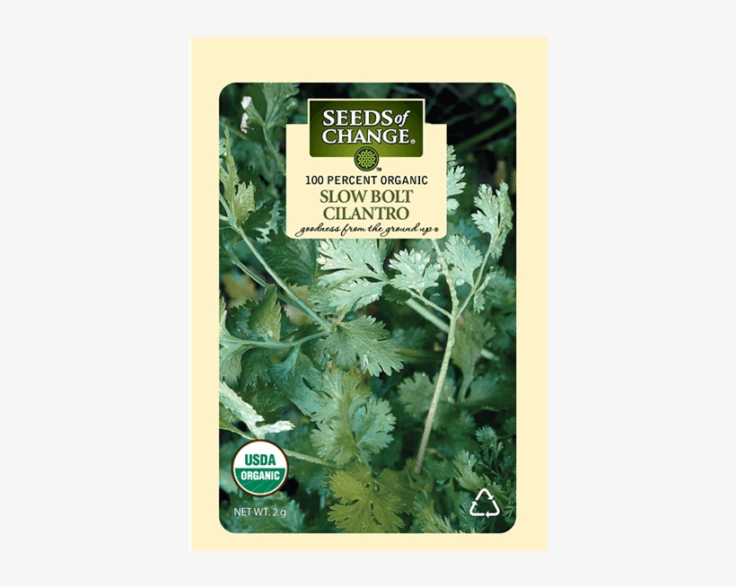 Organic Slow Bolt Cilantro Seeds - Seed, transparent png #8741401