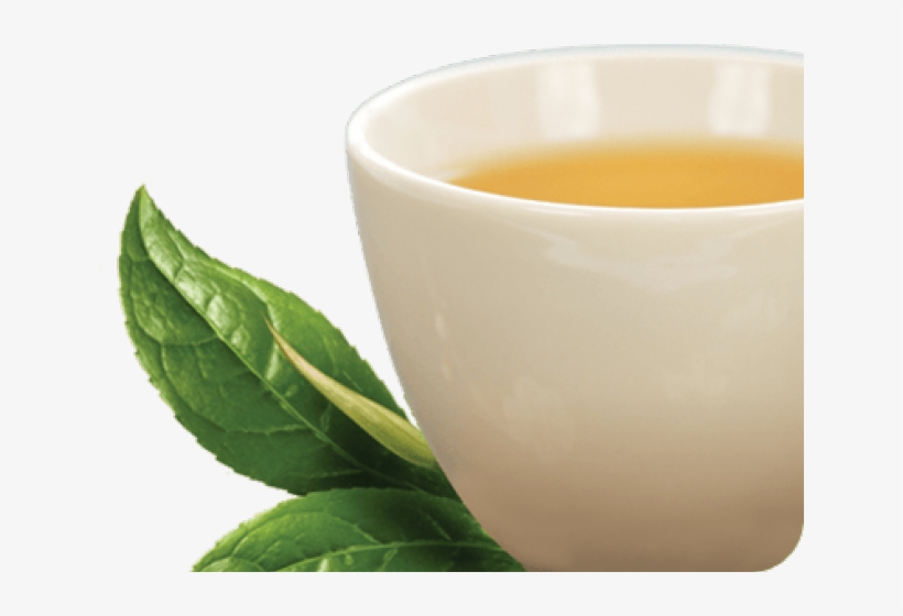 Green Tea Png Transparent Images - Transparent Tea Leaves Png, transparent png #8741460