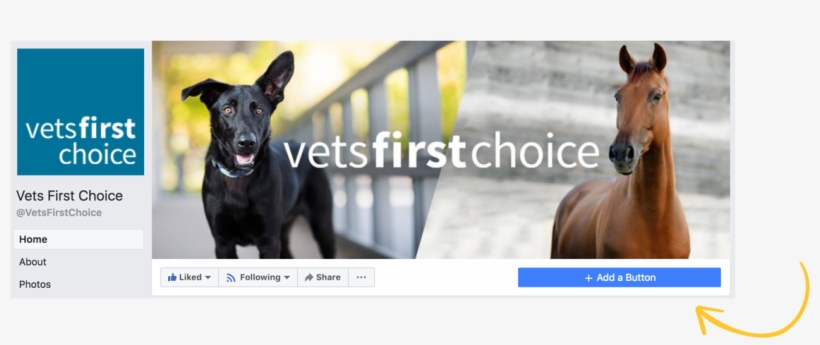 Fb Add Button - Stallion, transparent png #8741949