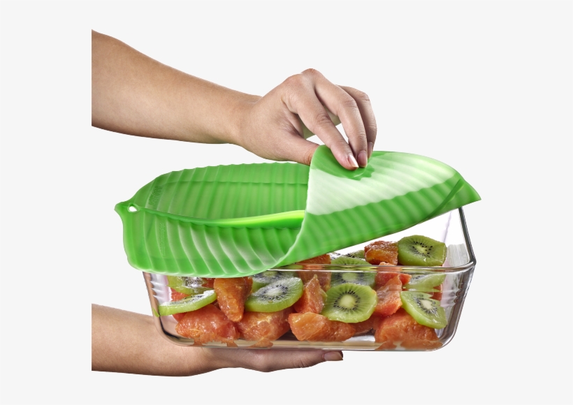 Common Fig, transparent png #8742012